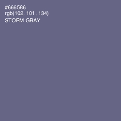 #666586 - Storm Gray Color Image